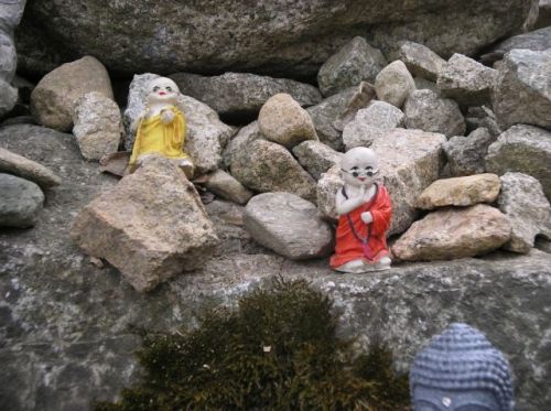 Little Buddha on a rock
