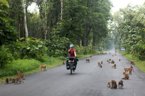 Mel Yule cycling in Nepal with monkeys
